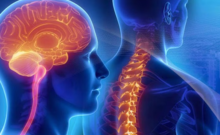 Brain & Spine
